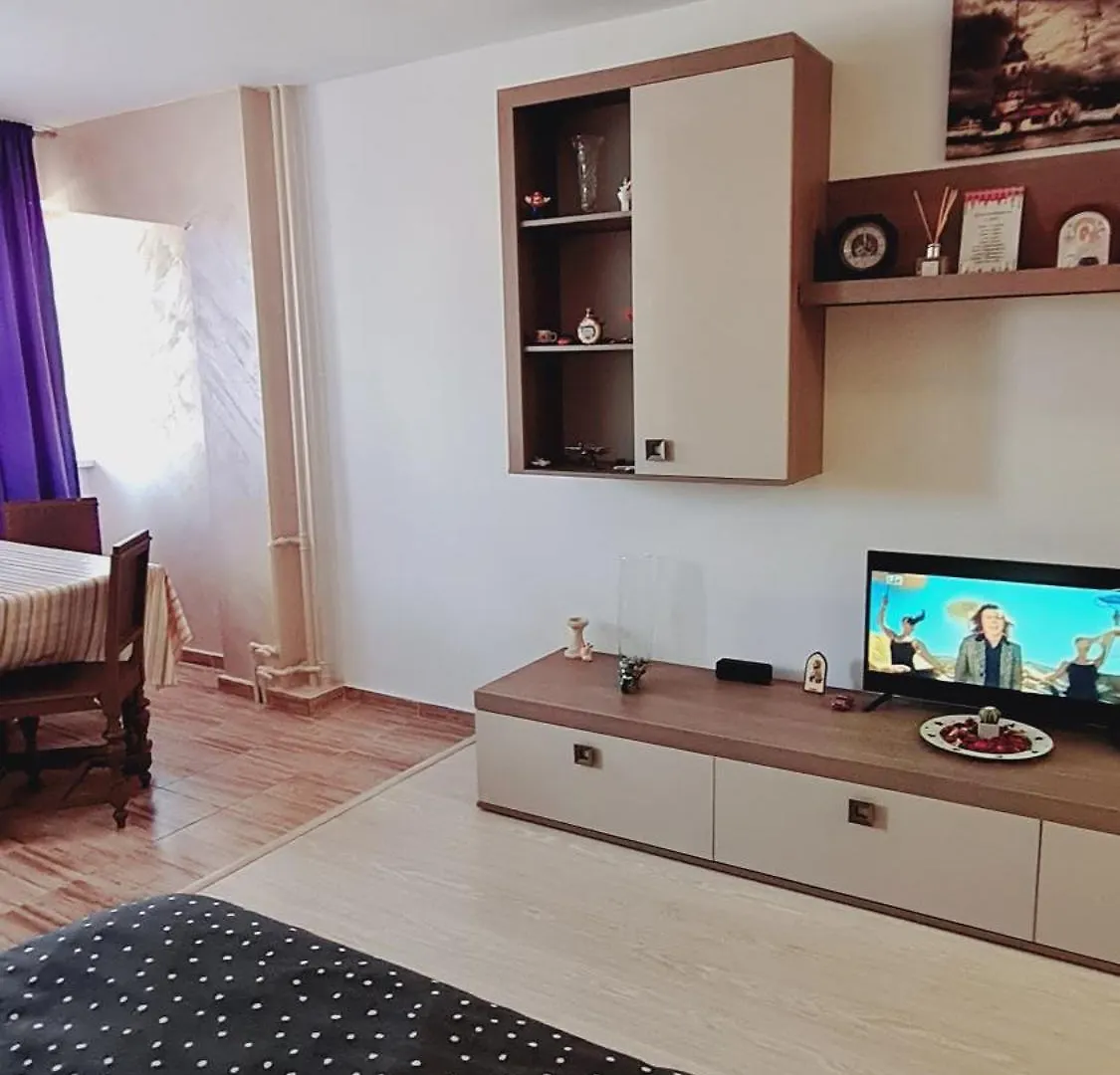 Studio Dristor Apartment Bucharest