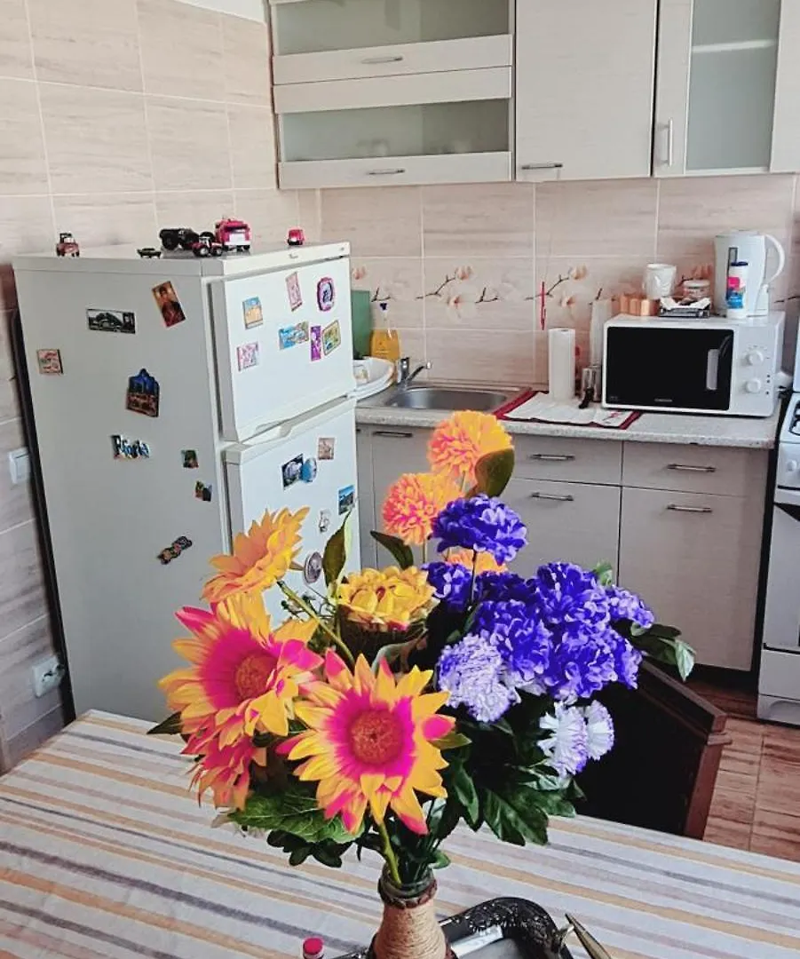 Studio Dristor Apartment Bucharest